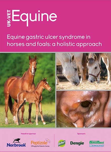 Equine gastric ulcer syndrome in horses and foals: a holistic approach